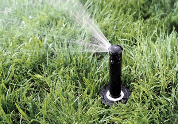 RIOC Promises To Fix Our Fountains, But Tries & Fails To Erase History Sprayers like this one use the same non potable water source as several park and playground drinking fountains